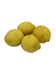 Limóns