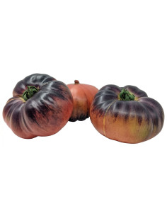 Tomate Azul
