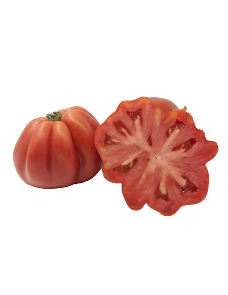 Tomate corazón de boi